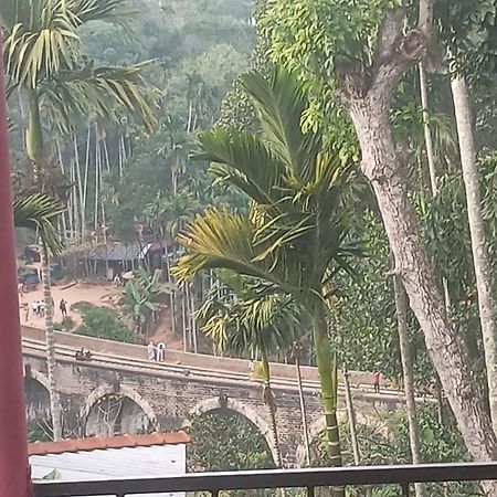 Nine Arch Araliya Homestay エッラ エクステリア 写真